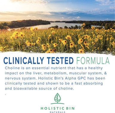 Holistic Bin AlphaSize GPC Powder | Bioavailable Choline Supplement | Alpha GPC Powder | Brain Support Supplement for Memory, Focus, & Physical Endurance Support