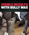 Bully Max 2-in-1 Muscle Builder Chewable Tablets for Puppies & Adult Dogs for All Breeds & Ages 60 Tabs
