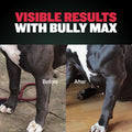 Bully Max 2-in-1 Muscle Builder Chewable Tablets for Puppies & Adult Dogs for All Breeds & Ages 60 Tabs
