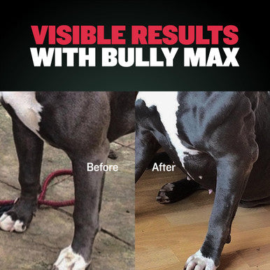Bully Max 2-in-1 Muscle Builder Chewable Tablets for Puppies & Adult Dogs for All Breeds & Ages 60 Tabs