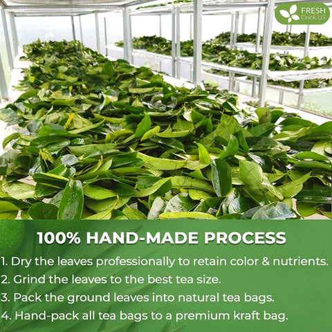 FreshDrinkUS, Premium 50 Mulberry Leaf Tea Bags, 100% Natural & Pure from Mulberry Leaves. Herbal Tea. Made with Natural Material Tea Bags. No Sugar, No Caffeine, No Gluten, Vegan.
