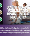 Bronson Brain + Mood Probiotic 50 Billion Cfu Plus Prebiotic With L-Theanine, Bacopa And Rhodiola Non-Gmo, 60 Vegetarian Capsules