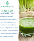 Organic Barley Grass Powder by Holistic Bin | Fermented with 35 Strains of Probiotics | Fermented Green Superfood Powder for Smoothies & Juice | 30 Day Supply (50 g)