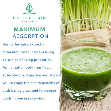 Organic Barley Grass Powder by Holistic Bin | Fermented with 35 Strains of Probiotics | Fermented Green Superfood Powder for Smoothies & Juice | 30 Day Supply (50 g)