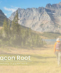 PURE ORIGINAL INGREDIENTS Yacon Root, (100 Capsules) Always Pure, No Additives Or Fillers, Lab Verified