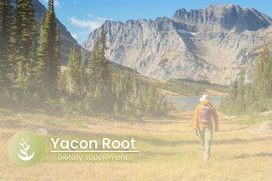 PURE ORIGINAL INGREDIENTS Yacon Root, (100 Capsules) Always Pure, No Additives Or Fillers, Lab Verified