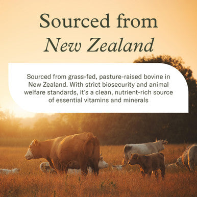 Enviromedica Grass Fed Beef Liver Capsules