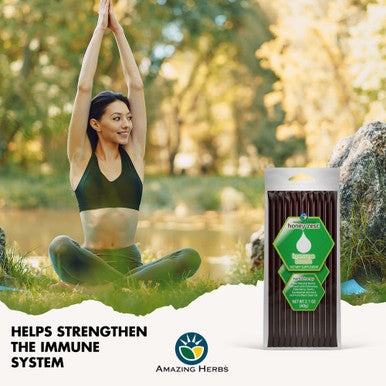 Amazing Herbs Raw Natural Honey - Herbal Honey Infused With Ecea, Elderberry, Garlic, Eucalyptus Extracts & Pure Black Seed Oil, Non Gmo, Gluten Free - Honeyzest Immune Boost Straws, 12 Count