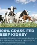 Left Coast Performance Grass Fed Beef Kidney Supplement 100% Grass Fed Freeze Dried Non-GMO New Zealand Pasture Raised Beef Organ Supplement - DAO Enzyme and Histamine Support 180 Capsules
