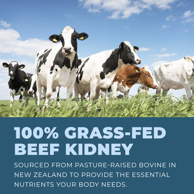 Left Coast Performance Grass Fed Beef Kidney Supplement 100% Grass Fed Freeze Dried Non-GMO New Zealand Pasture Raised Beef Organ Supplement - DAO Enzyme and Histamine Support 180 Capsules