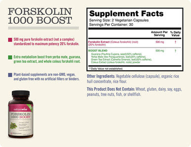 NatureWise Premium Forskolin 1000 Boost Highest Concentration Pure Forskolin for Weight Maintenance Natural Thermogenic Blend with Green Tea Yerba Mate Guarana Coleus Forskohlii 1 Month Supply