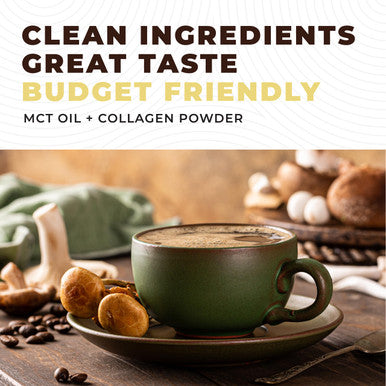 Left Coast Performance MCT Oil Powder with Acacia Fiber & Collagen Peptides Prebiotic Collagen Protein 10g MCTs from Coconuts Sugar Free Keto Coffee Creamer Grass Fed Vanilla Flavor Non-GMO Gluten Free 16 oz