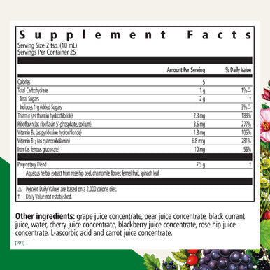 Flora Floradix Iron + Herbs 8.5 Fl Oz