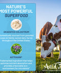 Nootrix Grassfed Colostrum Supplement | Bovine Colostrum Powder Superfood, Supports Gut Health, Immunity, Muscle Recovery, Promotes Hair Growth & Radiant Skin, Sinus Health | Unflavored, 60 Servings