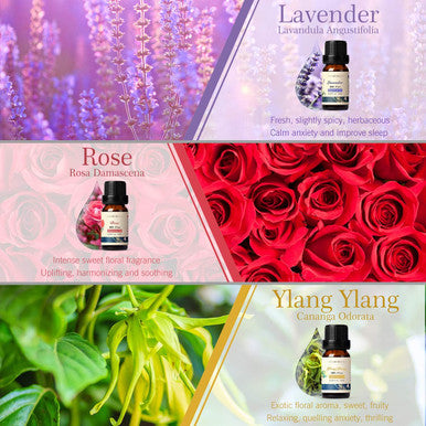Floral Essential Oils Set, ARVIDSSON Pure Floral Collection with Lavender, Rose, Ylang Ylang, Cherry Blossom, Chamomile, Gardenia Essential Oils For Diffusers, Aromatherapy, Massage, 6x10ML