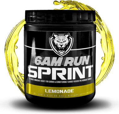 6AM RUN Sprint Pre Workout Powder for Instant Energy Boost for Cardio and Focus No Jitters High Energy Conditioning Formula All Natural Keto Vegan Lemonade Full Bottle
