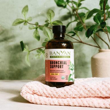 Banyan Botanicals Bronchial Support Organic Herbal Syrup For Children & Adults Soothing Respiratory Support Formula With Licorice and Ginger Root 6Oz. Non Gmo Sustainably Sourced Vegetarian