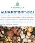 Holistic Bin Organic Mushroom Blend Powder 19 Wild Harvested Varieties (Lion's Mane, Reishi, Enoki, Mesima, Turkey Tail, Cordyceps, & More) | Adaptogenic Mushrooms Supplement