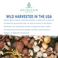 Holistic Bin Organic Mushroom Blend Powder 19 Wild Harvested Varieties (Lion's Mane, Reishi, Enoki, Mesima, Turkey Tail, Cordyceps, & More) | Adaptogenic Mushrooms Supplement