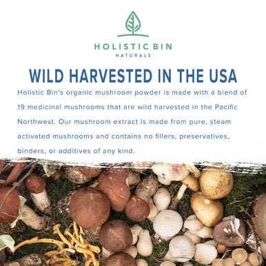 Holistic Bin Organic Mushroom Blend Powder 19 Wild Harvested Varieties (Lion's Mane, Reishi, Enoki, Mesima, Turkey Tail, Cordyceps, & More) | Adaptogenic Mushrooms Supplement