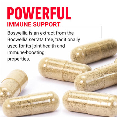 Force Factor Boswellia Extract Capsules Immune Support Supplement and Joint Health Supplement for Women and Men Made with Premium Boswellia Serrata Extract Vegan Non-GMO 120 Capsules
