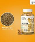 Wild & Organic Mullein Gummies Daily Dietary Supplement for Respiratory Digestive Support and Immune Booster Vegan Non GMO Verbascum Thapsus Herbal Extract 2000mg 60 Chews