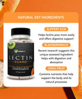 Karamd Lectin Guard | Lectin Blocker Gut & Colon Health Supplement | Slippery Elm, Bladderwrack, Sodium Alginate, Okra, Kiwi & Papaya | Natural Vegan Friendly, Non-Gmo & Gluten Free (30 Servings)