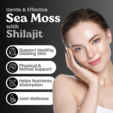 Atlantic Naturals Sea Moss Capsules with Moringa Ashwagandha Black Seed Oil Ginger and Ginseng Atlantic Sea Moss Supplements for Men and Women for Daily Energy and Wellness Blend 120 Count