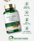 Carlyle Uva Ursi Capsules | 1400Mg | 150 Count | Herbal Leaf Extract | Non-Gmo | Gluten Free Supplement
