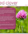 VH Nutrition Red Clover | 700 mg Capsules |Trifolium Pratense Extract