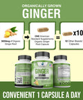 Ginger Root Capsules Organic 3850mg, Ginger Powder, Ginger Supplements, Ginger Capsules, Ginger Pills, Ginger Extract, Organic Ginger Root, Immune Support, Alternative to Ginger Chews, 90 Veg Capsule