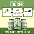 Ginger Root Capsules Organic 3850mg, Ginger Powder, Ginger Supplements, Ginger Capsules, Ginger Pills, Ginger Extract, Organic Ginger Root, Immune Support, Alternative to Ginger Chews, 90 Veg Capsule