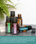 Nature s Fusions Lime 100% Pure and Essential Oils 15 mL