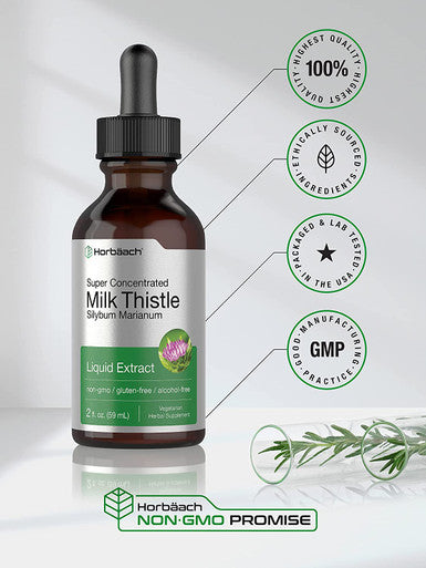 Milk Thistle Extract | 2 fl oz | Alcohol Free | Vegetarian, Non-GMO & Gluten Free Liquid | by Horbaach