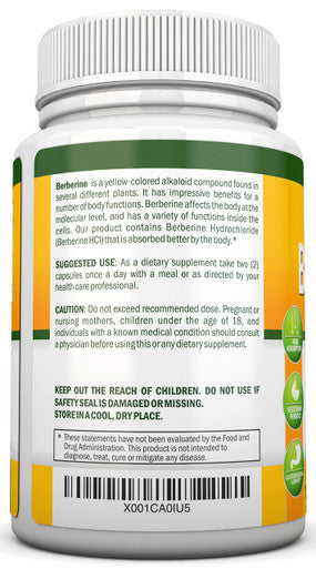 Berberine - 1200Mg - 90 Vegetarian Capsules - Pure Berberine Extract Supplement - Superior Potency to Support Immune Health