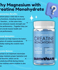 Creatine Monohydrate And Magnesium Gummies For Adults Beta Alanine, Collagen Peptides, L-Arginine, B Vitamins 60 Gummies