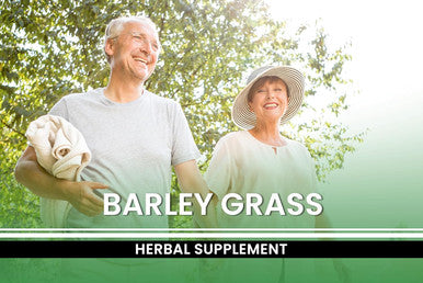 PURE ORIGINAL INGREDIENTS Barley Grass (365 Capsules) No Magnesium Or Rice Fillers, Always Pure, Lab Verified
