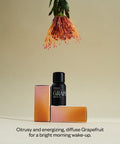 Vitruvi Grapefruit, 100% Pure Premium Essential Oil (0.3 fl.oz)