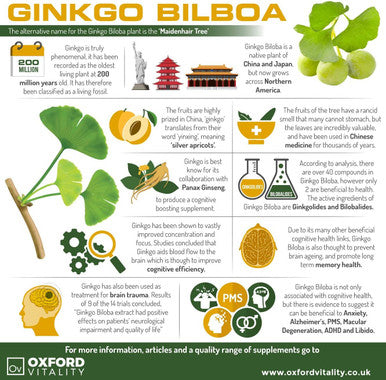 Ginkgo Biloba Tablets | 6000mg Supplements for Memory & Cognitive Functions | Oxford Vitality