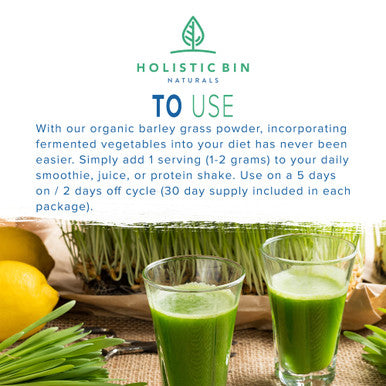Organic Barley Grass Powder by Holistic Bin | Fermented with 35 Strains of Probiotics | Fermented Green Superfood Powder for Smoothies & Juice | 30 Day Supply (50 g)