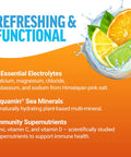 Force Factor Liquid Labs Immunity Electrolytes Powder & Immune Support SupplementHydration Packets with Immunity VitaminsElectrolytesMinerals& AntioxidantsFresh Citrus Flavor20 Stick Packs