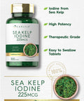 Sea Kelp Iodine Supplement | 225Mcg | 300 Tablets | Non-Gmo, Gluten Free | Traditional Herb Supplement | By Carlyle
