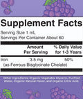 MaryRuth's Iron Supplement for Toddlers Liquid Iron Supplement for Children Ages 13 Iron Supplement for Iron Deficiency Ferrochel Sugar Free Vegan NonGMO Gluten Free 2 Fl Oz