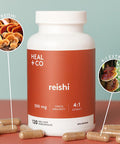 HEAL + CO. Reishi | High Potency 4:1 extract, 4000 mg per serving |Stress + Immunity | 120 x 500 mg Capsules