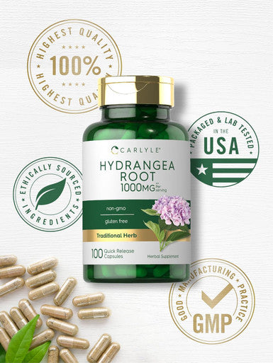 Carlyle Hydrangea Root Capsules | 1000mg | 100 Count | Non-GMO Gluten Extract