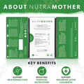Nutra Tea NUTRAMOTHER - Lactation Support Tea | Breastfeeding Tea - Lactation Tea For Increased Breast Milk - Includes Fenugreek Fennel and Raspberry Leaf - 20 Enveloped Tea Bags - by - Herbal Tea