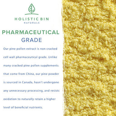 Organic Pine Pollen Powder by Holistic Bin | Pharmaceutical Grade, Wild Harvested, Golden Canadian Pine Pollen | Non GMO, No Additives | Pure Pollen Supplement Made from The Lodgepole Pine Tree, 20 g