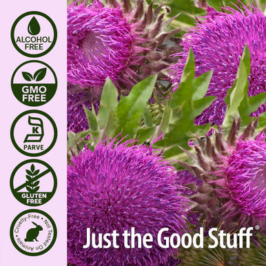 Nature's Answer Af Milk Thistle 2 oz