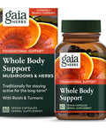 Gaia Herbs Mushrooms+Herbs with Reishi & Turmeric-Inflammation Relief Supplement with Daily Immune Support-Made with Organic Reishi and Turmeric Curcumin-60 Vegan Liquid Phyto-Capsules(30-Day Supply)