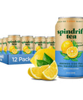 Spindrift Brewed Iced Tea, Variety Pack with Black Tea & Green Tea, Made with Real Squeezed Fruit, No Carbonation, Slightly Sweet, 12 Fl Oz Cans, Pack of 24 (22-49 Calories)